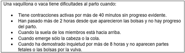 Cuadro 5. ¿Cuándo ayudar?
