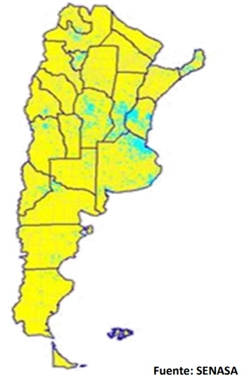 La cadena del huevo en Argentina - Image 2