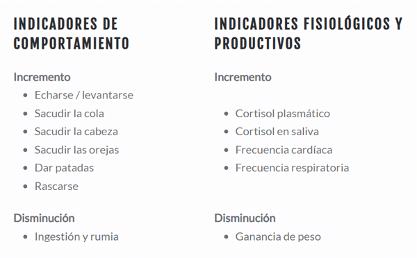 INDICADORES DE COMPORTAMIENTO