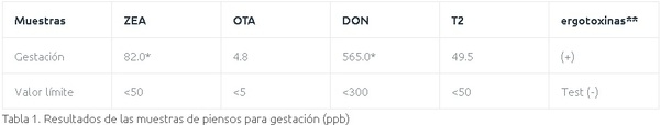 Caso de estudio: patología e histopatología como herramientas para el diagnóstico de trastornos reproductivos en cerdos relacionados con micotoxinas - Image 10