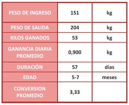 Recría sin fibra: Una alternativa que funciona - Image 6