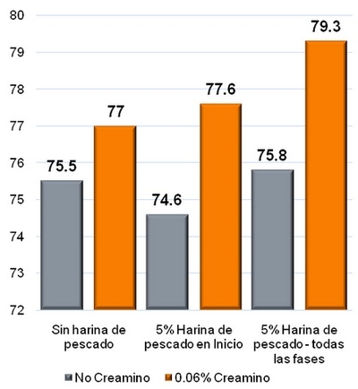 La creatina: El eslabón perdido para un crecimiento saludable - Image 1