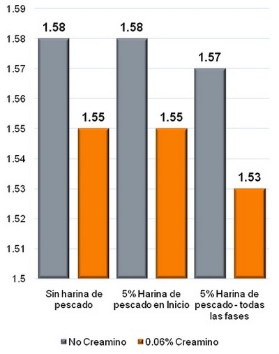 La creatina: El eslabón perdido para un crecimiento saludable - Image 2