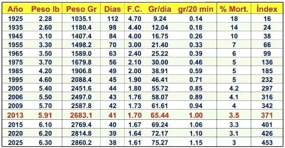 Los pollos modernos hoy en día ganan peso por minuto - Image 2