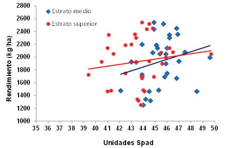 Respuesta del cultivo de Colza a nitrógeno, azufre y Boro en dos espaciamientos y su impacto residual en soja de segunda. Campaña 2012/13 - Image 12