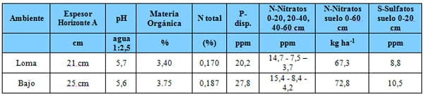 Respuesta a azufre en trigo según Ambiente y nivel de nitrógeno - Image 2