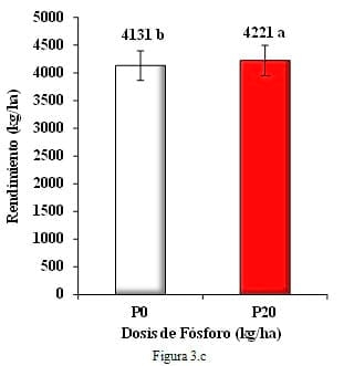 Respuesta a la fertilización en variedades de Cebada Cervecera y su comparación con un cultivar de trigo - Image 10