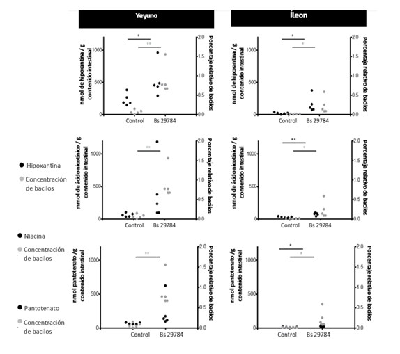 Enfoque holístico de tres pasos para mejorar la salud intestinal en los animales: Parte 3 - Image 2