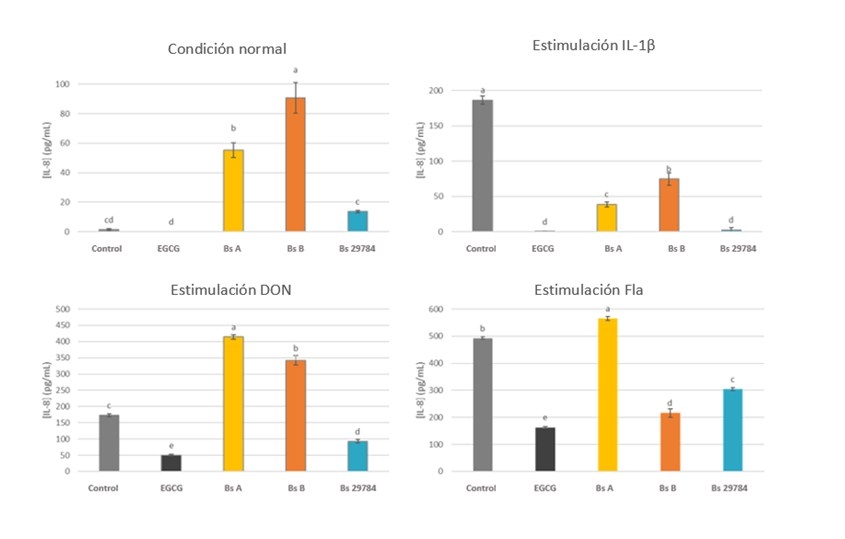 Enfoque holístico de tres pasos para mejorar la salud intestinal en los animales: Parte 3 - Image 8