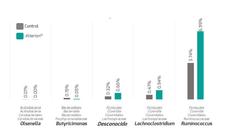 Enfoque holístico de tres pasos para mejorar la salud intestinal en los animales: Parte 3 - Image 4