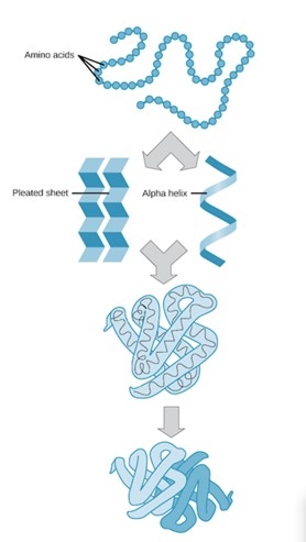La importancia del peletizado y la termorresistencia de los aditivos en la elaboración de los alimentos para la producción animal - Image 3