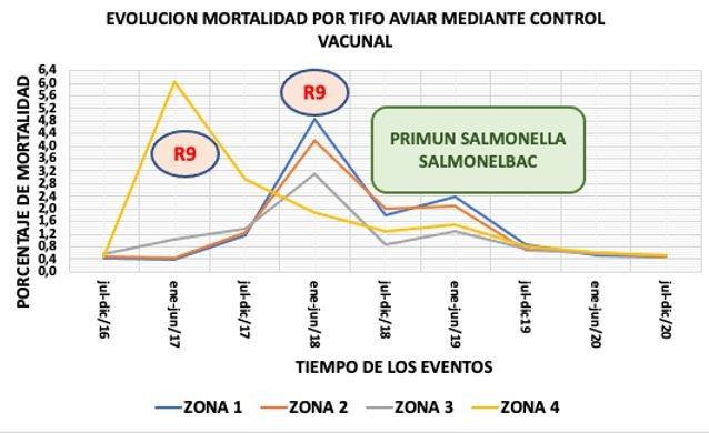 Tifosis aviar: un dolor de cabeza de mucha actualidad. Estrategias vacunales eficaces frente a esta salmonelosis aviar - Image 4