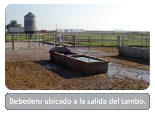 El agua de bebida. Punto clave para limitar el estrés calórico - Image 3