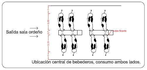 El agua de bebida. Punto clave para limitar el estrés calórico - Image 4
