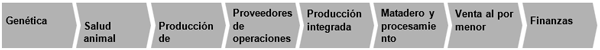 Figura 1. Cadena de producción avícola