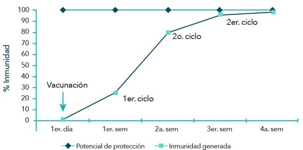 ¿Medicar o vacunar contra la coccidiosis aviar? - Image 1