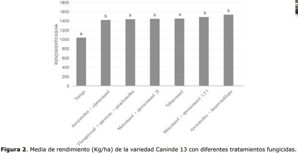 Control químico de Fusariosis de la espiga del trigo y su efecto sobre los componentes de producción y calidad de granos - Image 5