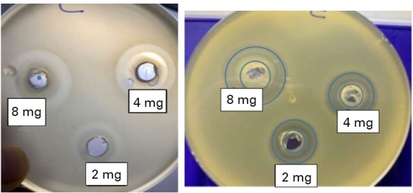 CKM y la vision hacia la inocuidad alimentaria y las bacterias multirresistentes - Image 2