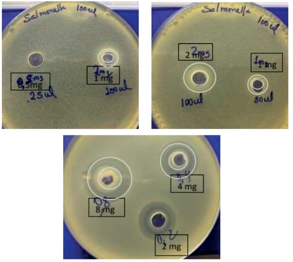 CKM y la vision hacia la inocuidad alimentaria y las bacterias multirresistentes - Image 3