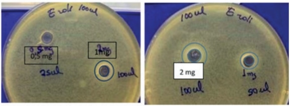 CKM y la vision hacia la inocuidad alimentaria y las bacterias multirresistentes - Image 1