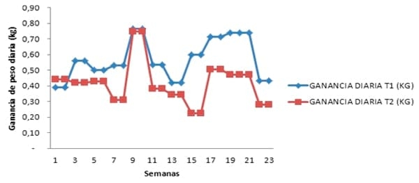 Evaluación bioeconómica de dos dietas contrastantes en Producción Porcina Tropical - Image 4