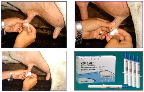 Manual Lechero como producir más y mejor leche con menos costos - Image 13