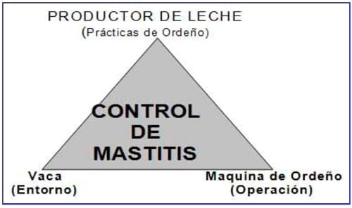 Manual Lechero como producir más y mejor leche con menos costos - Image 20