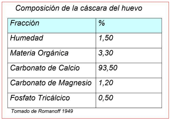 Manejo del calcio, el fósforo y otras estrategias para lograr aves viables, longevas y productivas en ciclos productivos largos - Image 3