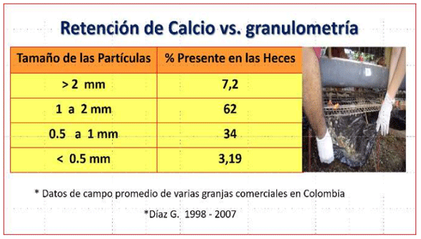 retencion calcio granulometria