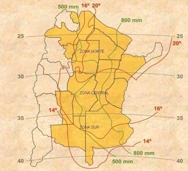 Sorgo Granífero - Características y Manejo Del Cultivo - Image 2