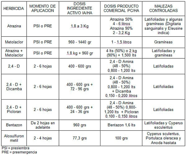 Sorgo Granífero - Características y Manejo Del Cultivo - Image 4