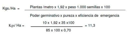 Sorgo Granífero - Características y Manejo Del Cultivo - Image 7