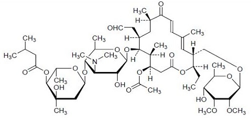 Efecto Farmacológico de la Tylvalosina (Pk/Pd) Frente a Desafíos de Mycoplasma gallisepticum en Pollos de Engorde - Image 2