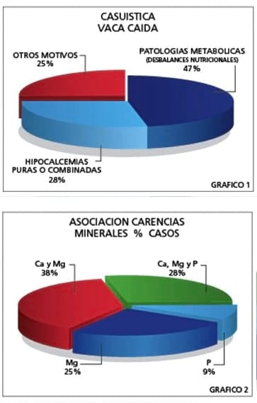 Informe Técnico Vitonal B (Linea Nutricional) - Image 3