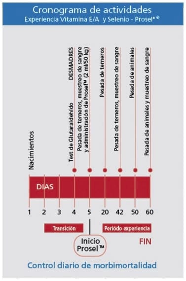 ProselTM. Evaluación de la Suplementación parenteral con vitaminas E/A y Selenio en el crecimiento e inmunidad de los terneros lactantes. - Image 3