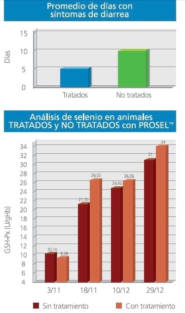 ProselTM. Evaluación de la Suplementación parenteral con vitaminas E/A y Selenio en el crecimiento e inmunidad de los terneros lactantes. - Image 5