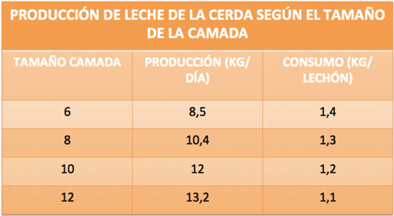PRODUCCIÓN DE LECHE DE LA CERDA SEGÚN EL TAMAÑO DE LA CAMADA
