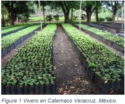 Instalaciones agrícolas - Image 1