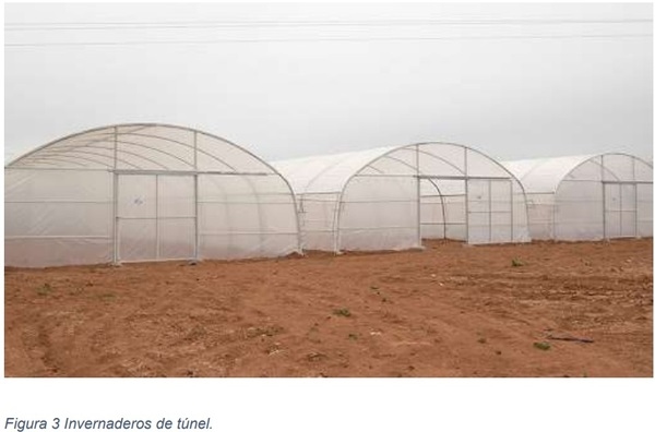 Instalaciones agrícolas - Image 3
