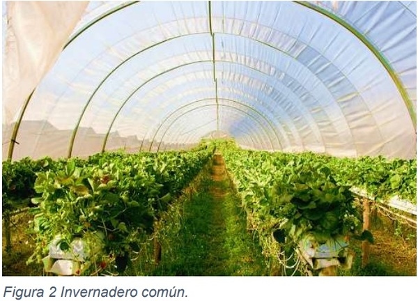 Instalaciones agrícolas - Image 2