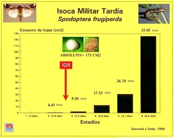 Para poder usar insecticidas poco tóxicos hay que hacer inteligencia - Image 4