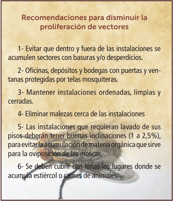 Control de plagas vectoras en granjas porcinas - Image 1