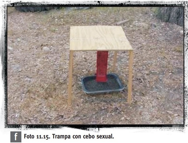 Control de plagas vectoras en granjas porcinas - Image 19