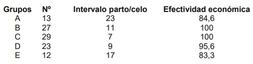 Valoración de condición corporal e influencia sobre Indicadores reproductivos en cerdas - Image 2