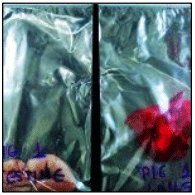 Figura 9. Las muestras para estudios microbiológicos se deben empaquetar e identificar de forma separada.
