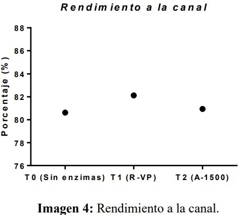 COMPLEJOS ENZIMÁTICOS COMO SUPLEMENTO EN LA ALIMENTACIÓN DE POLLOS DE ENGORDE - Image 8