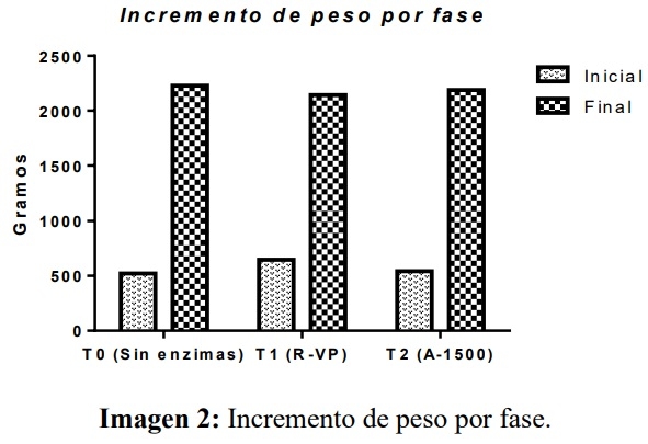 COMPLEJOS ENZIMÁTICOS COMO SUPLEMENTO EN LA ALIMENTACIÓN DE POLLOS DE ENGORDE - Image 4