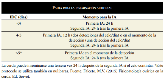 La cerda puede inseminarse una tercera vez 24 h después de la segunda IA si el celo continúa. *Este protocolo se utiliza también en nulíparas. Fuente: Falceto, M.V. (2015) Fisiopatología ovárica en la cerda. Ed. Servet.