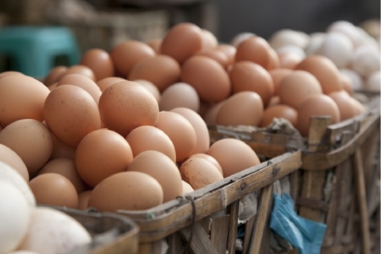 Razones de la baja producción de huevos - Image 1