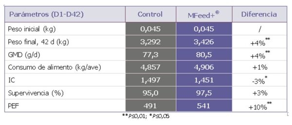 Programa nutricional enfocado en digestión: complejo algo-arcilla aumenta la actividad enzimática - Image 2